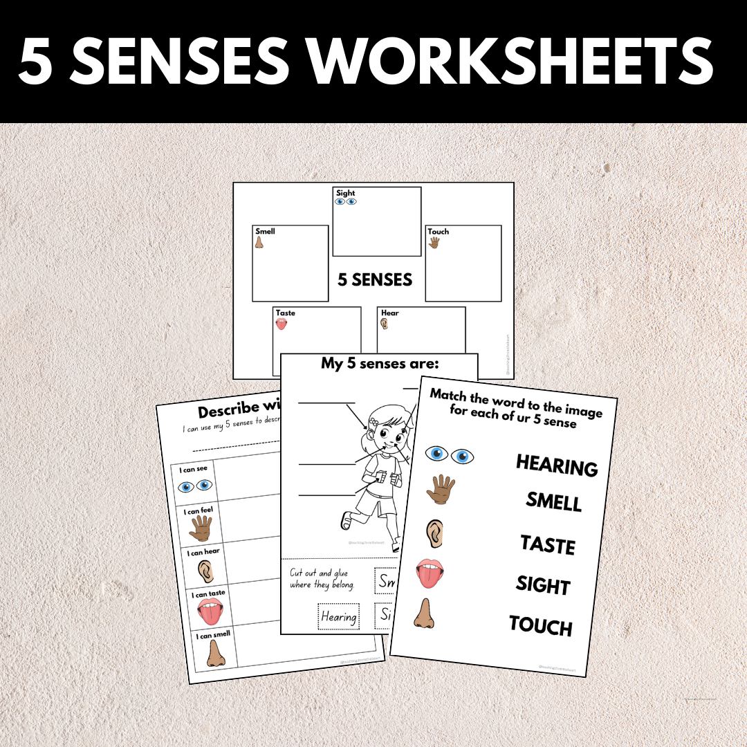 5 Senses Bundle