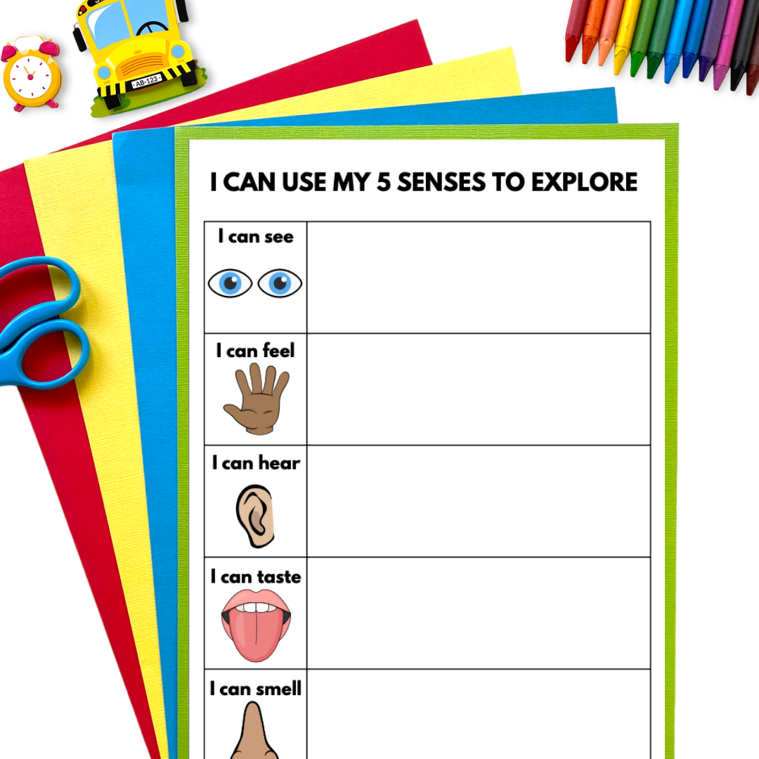 5 Senses Bundle