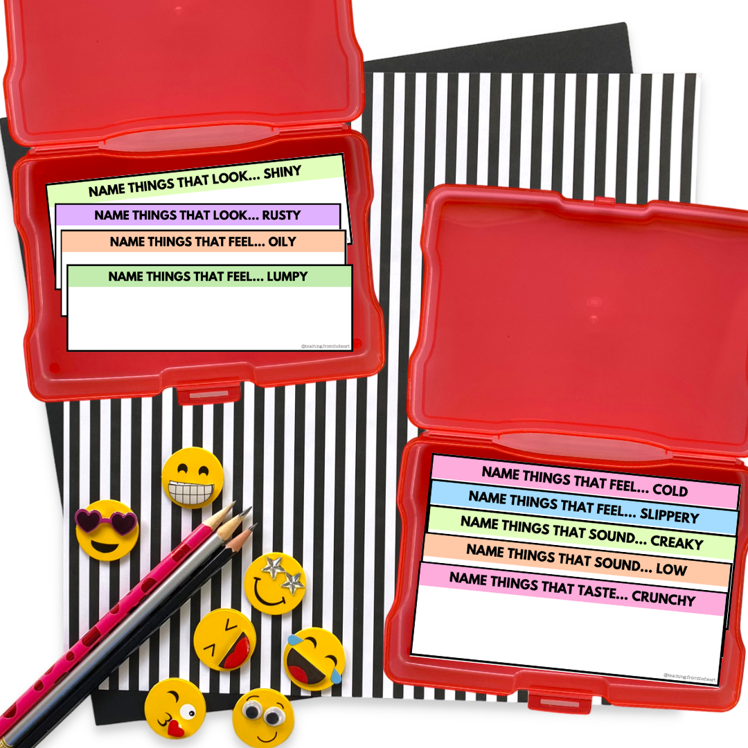 5 Senses Bundle