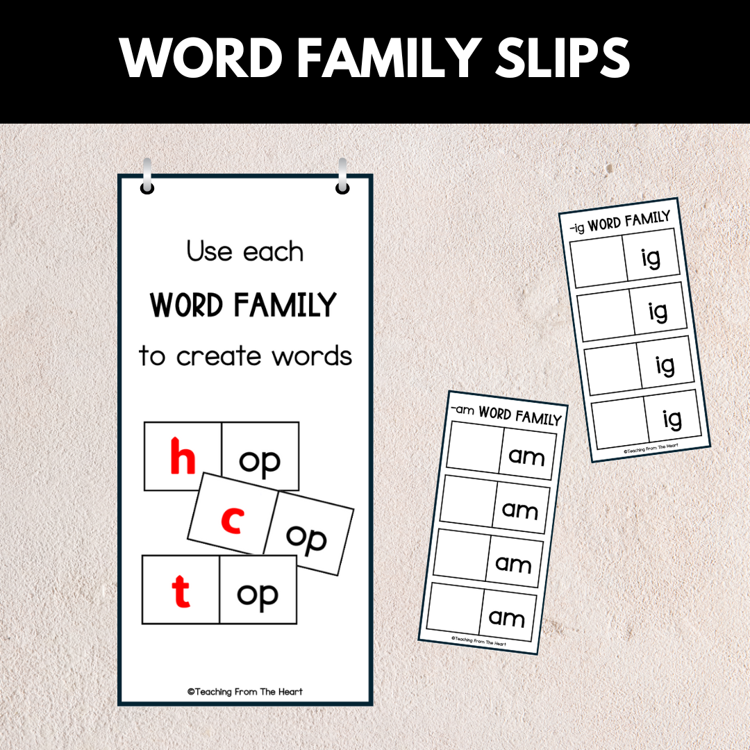 Word Family Slips