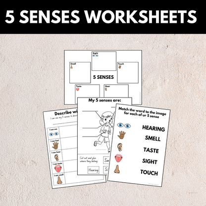 5 Senses Bundle