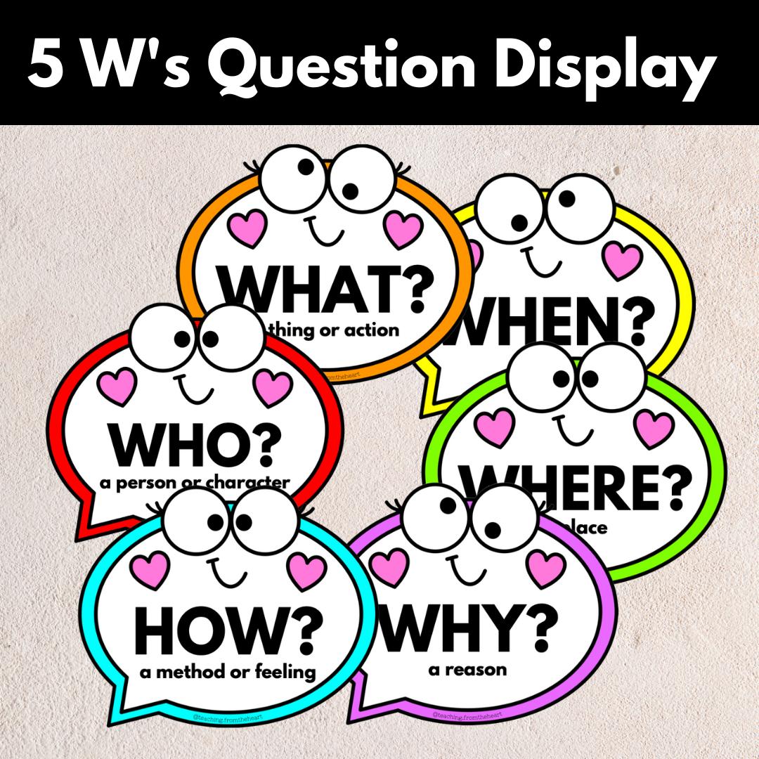 5 W Questions Display