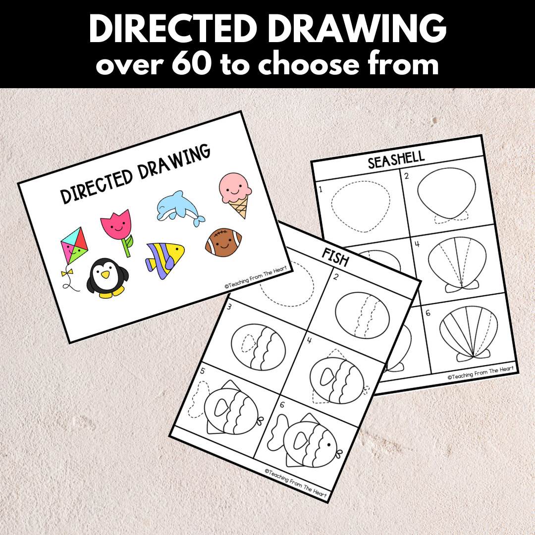 Directed Drawing