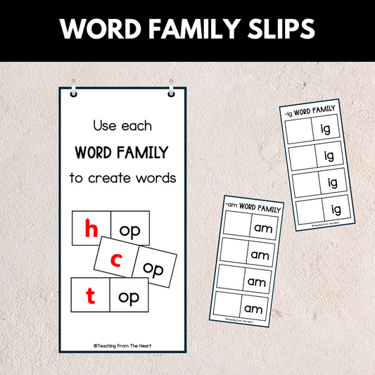 Word Family Slips